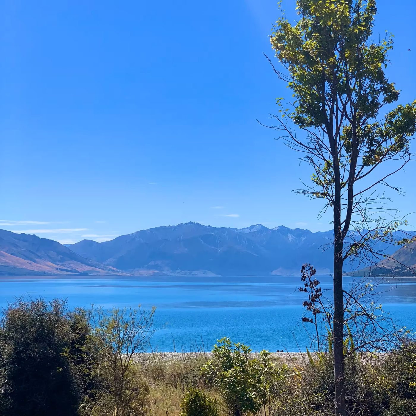 Lake Hawea in summer with mountains