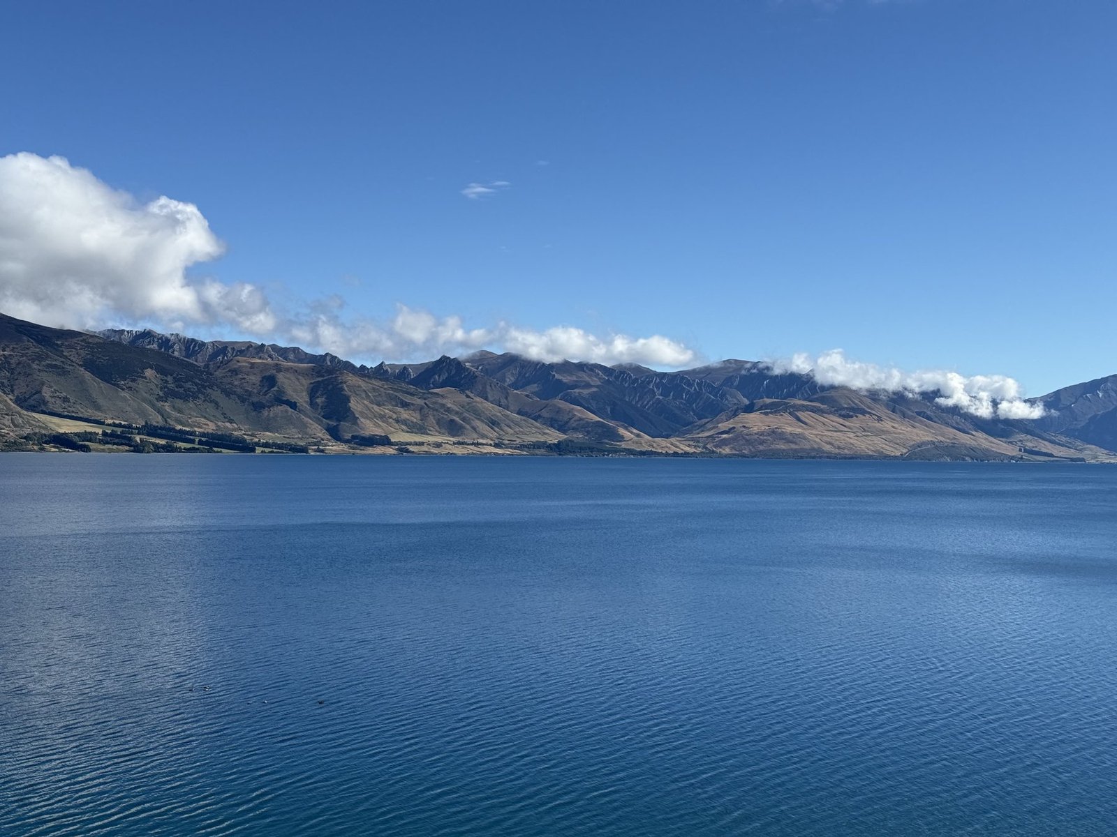 Lake Hawea view from the shore