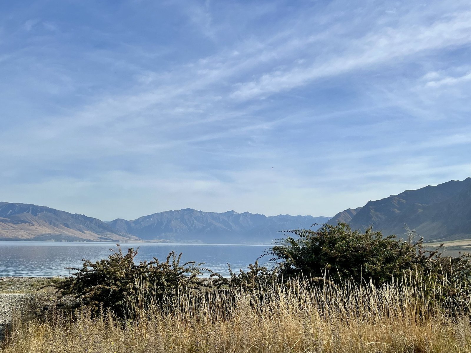 Lake Hawea view through tussock grass